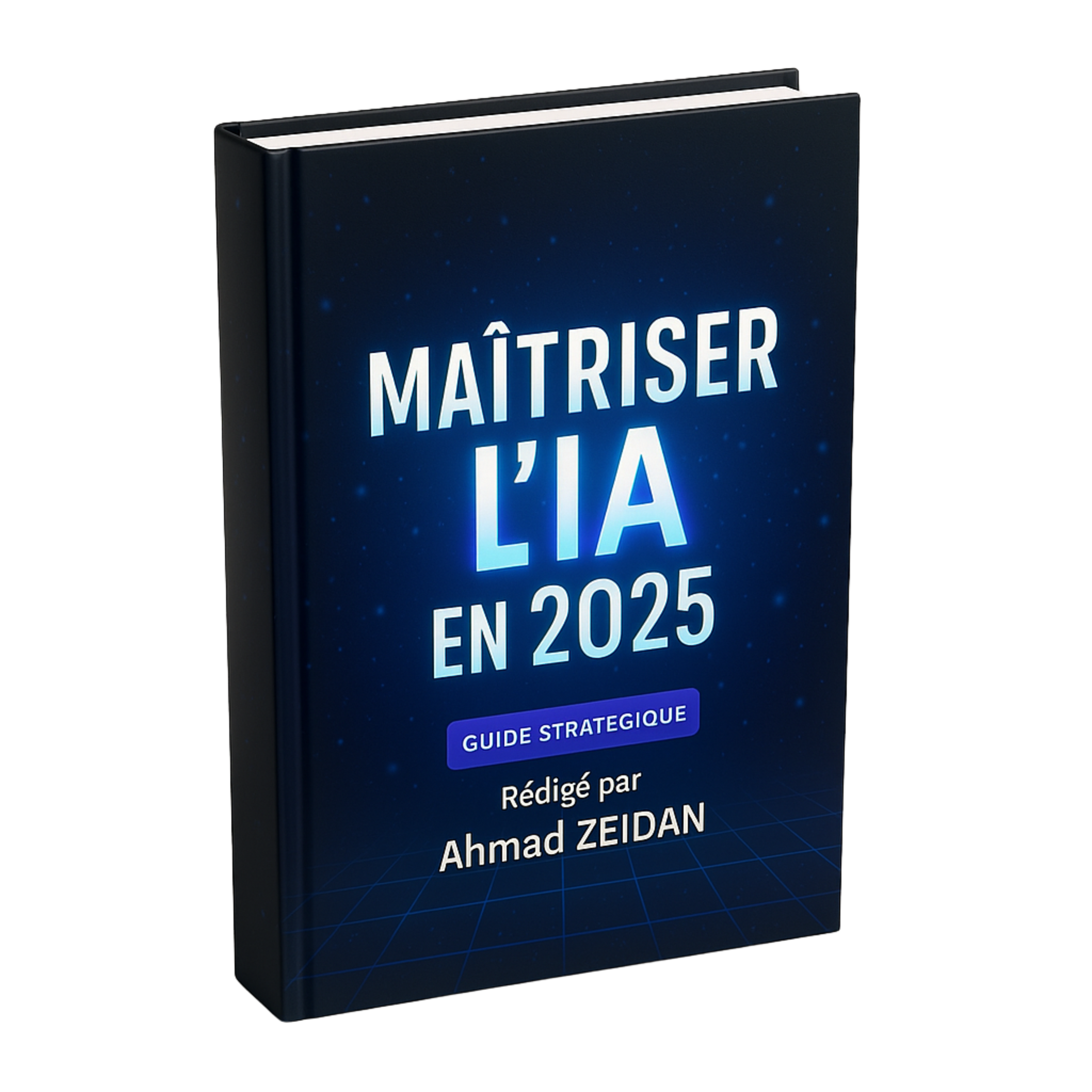 Aperçu du guide Maîtriser l'IA en 2025